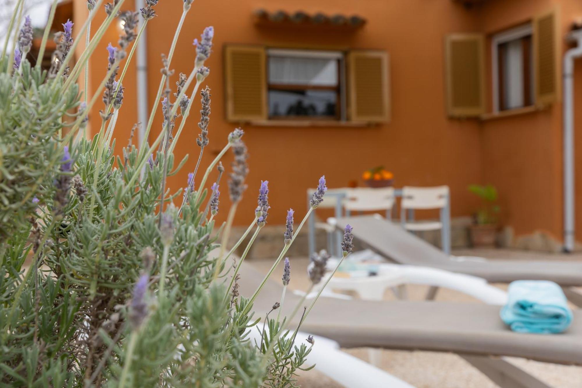 Villa Yourhouse Sa Caseta *